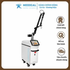 Máy laser nd yag pastelle wontech