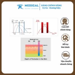 Máy laser nd yag pastelle wontech